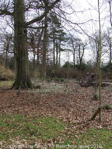 dunhammassey (03)